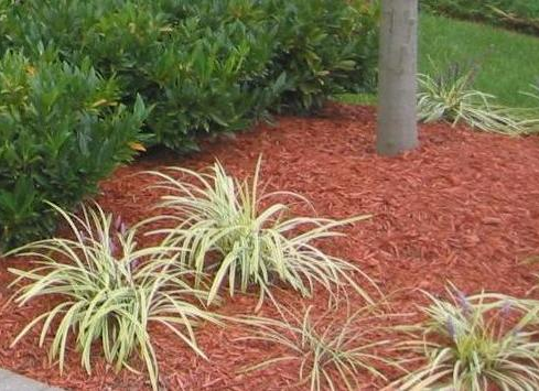 mulching company milton