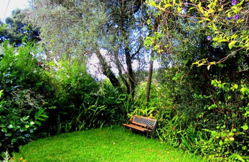 best Lawn care services milton